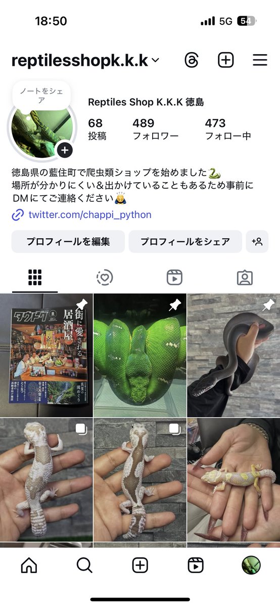 chappi_python's tweet image. 改めまして、徳島県の藍住町で爬虫類ショップをしております。
Instagramに力を入れて投稿していますので良ければフォローよろしくお願いします🙇♂️
instagram.com/reptilesshopk.…