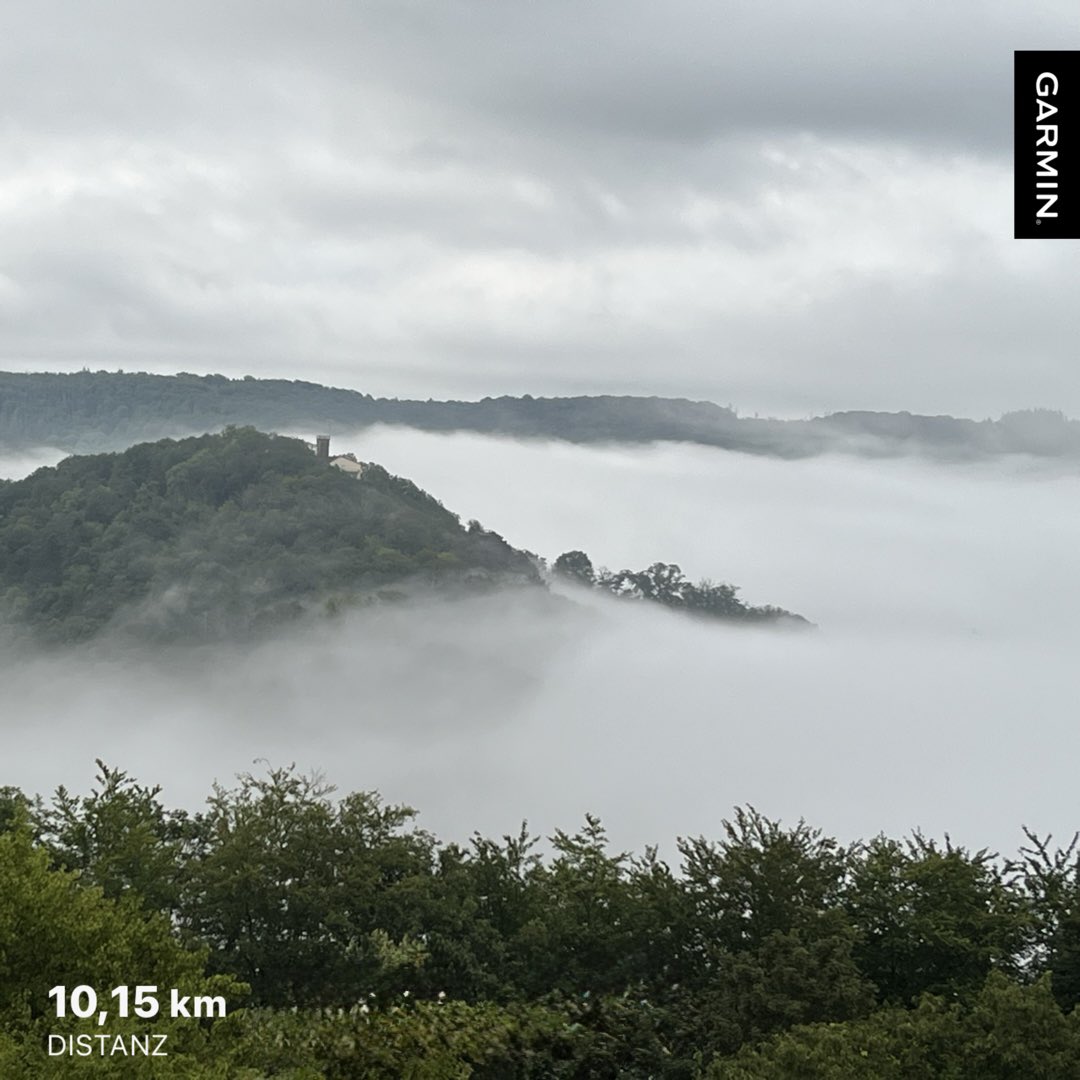 Morgenrunde. Kraft tanken für den Arbeitstag. 💪🏻🔥

#trailrunning #running #power