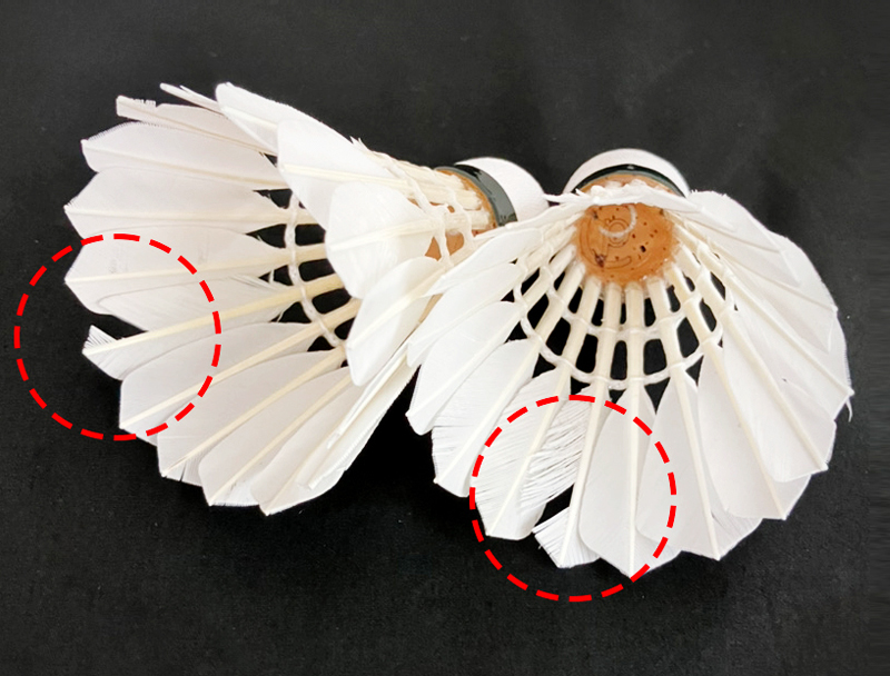 頑張らないバドミントン研究会 (@ganbaranaibad) / Posts / X