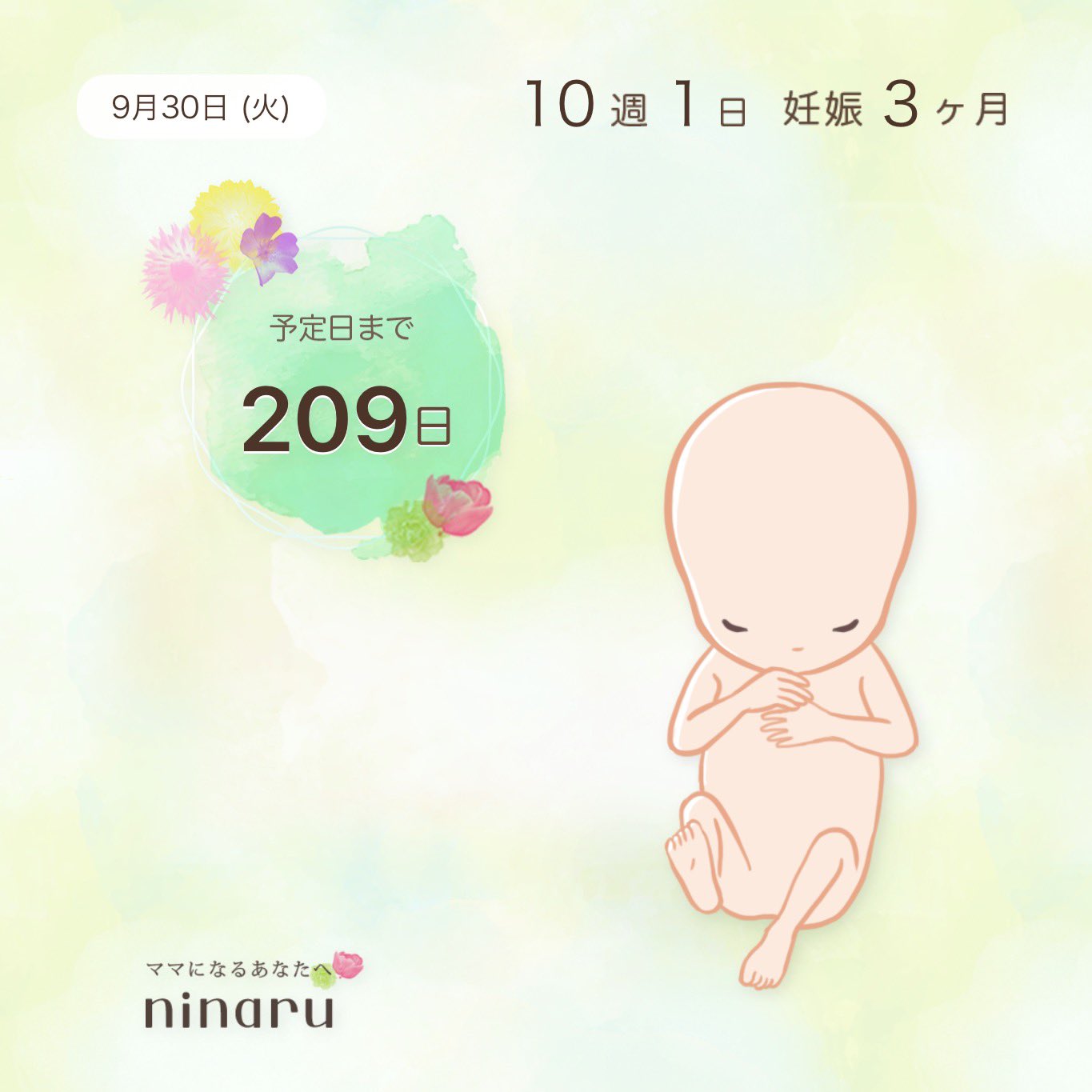 ☆みみりん☆ タカラ 純米本みりん 300ml / 1000ml – ミールキット&ネット