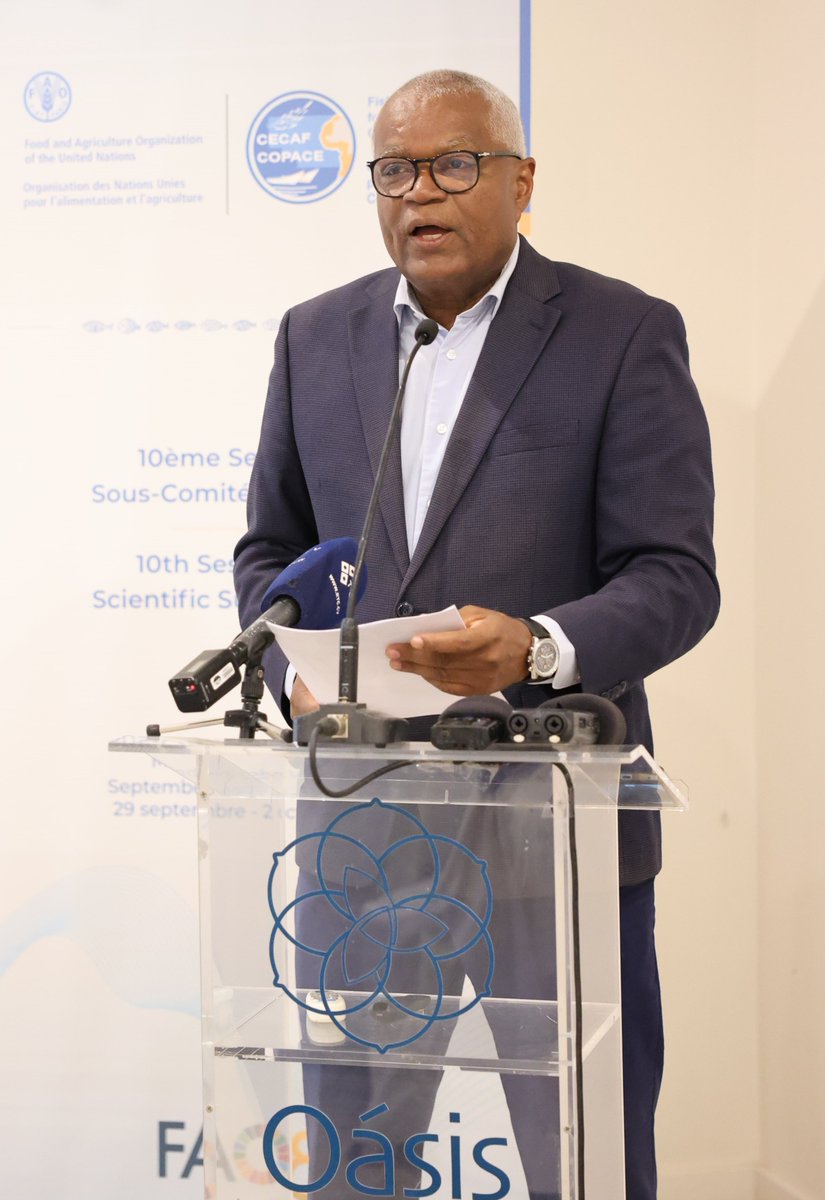 FAOCaboVerde's tweet image. 🎣 Central &amp;amp; Eastern Atlantic

Minister of Sea 🇨🇻:
“#CECAF's scientific &amp;amp; advisory role must continue to inform our policy decisions &amp;amp; guide our national strategies, 💪 our cooperation to build sustainable fisheries capable of feeding our populations &amp;amp; supporting our economies.”