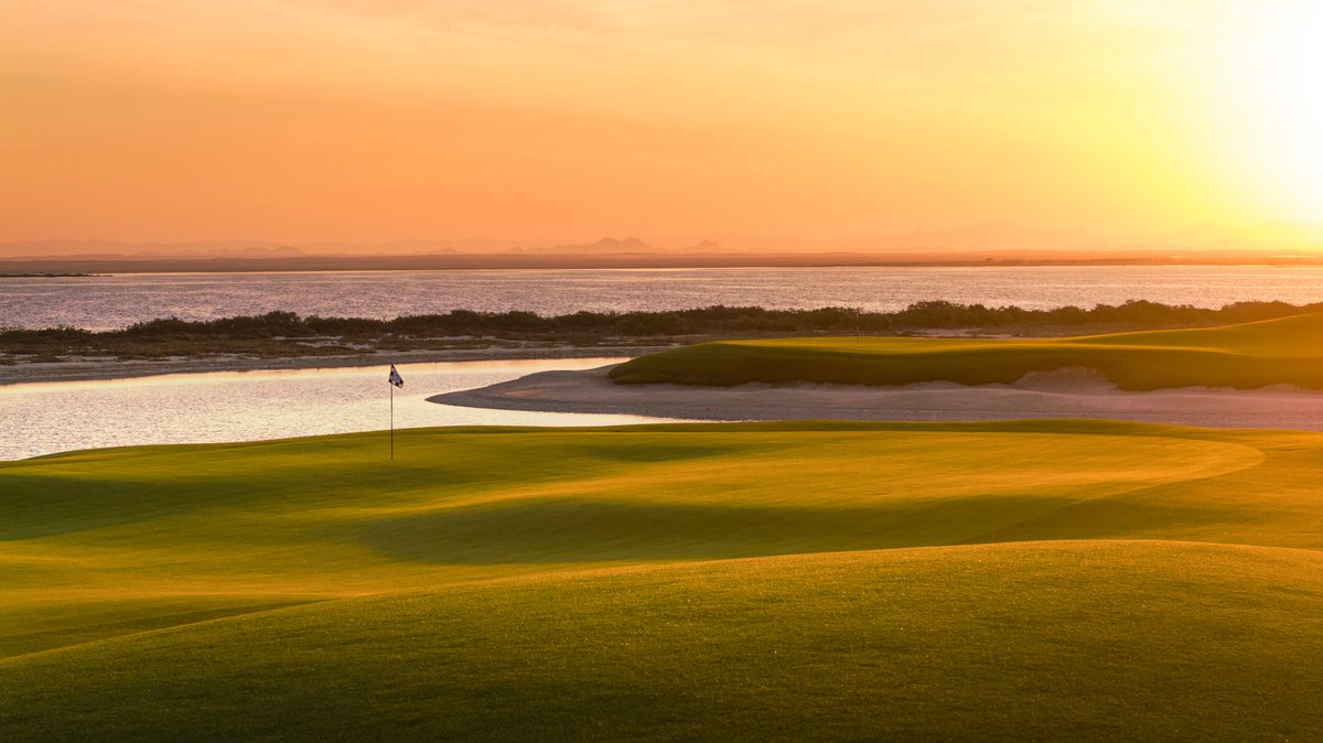 أحمد غازي درويش tweet media