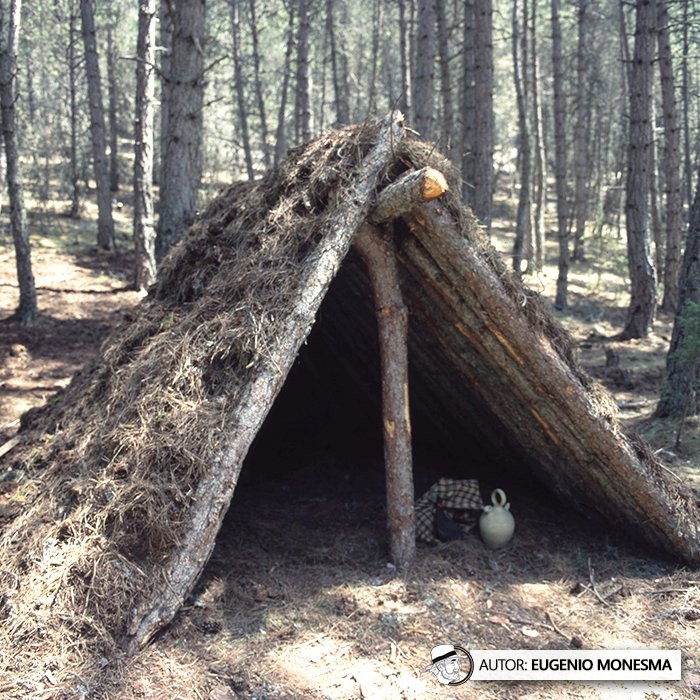 EugenioMonesma's tweet photo. 🛖💤 Las jornadas de los #resineros en el monte eran muy largas y duras (más de 15 horas diarias), por ello su descanso en #chozos durante la noche era fundamental.
Ellos mismos los construían a mano con ramas y troncos.
📽️ Documental COMPLETO (8'): https://t.co/IVrKlxjMjy https://t.co/UB7qfDQUM9