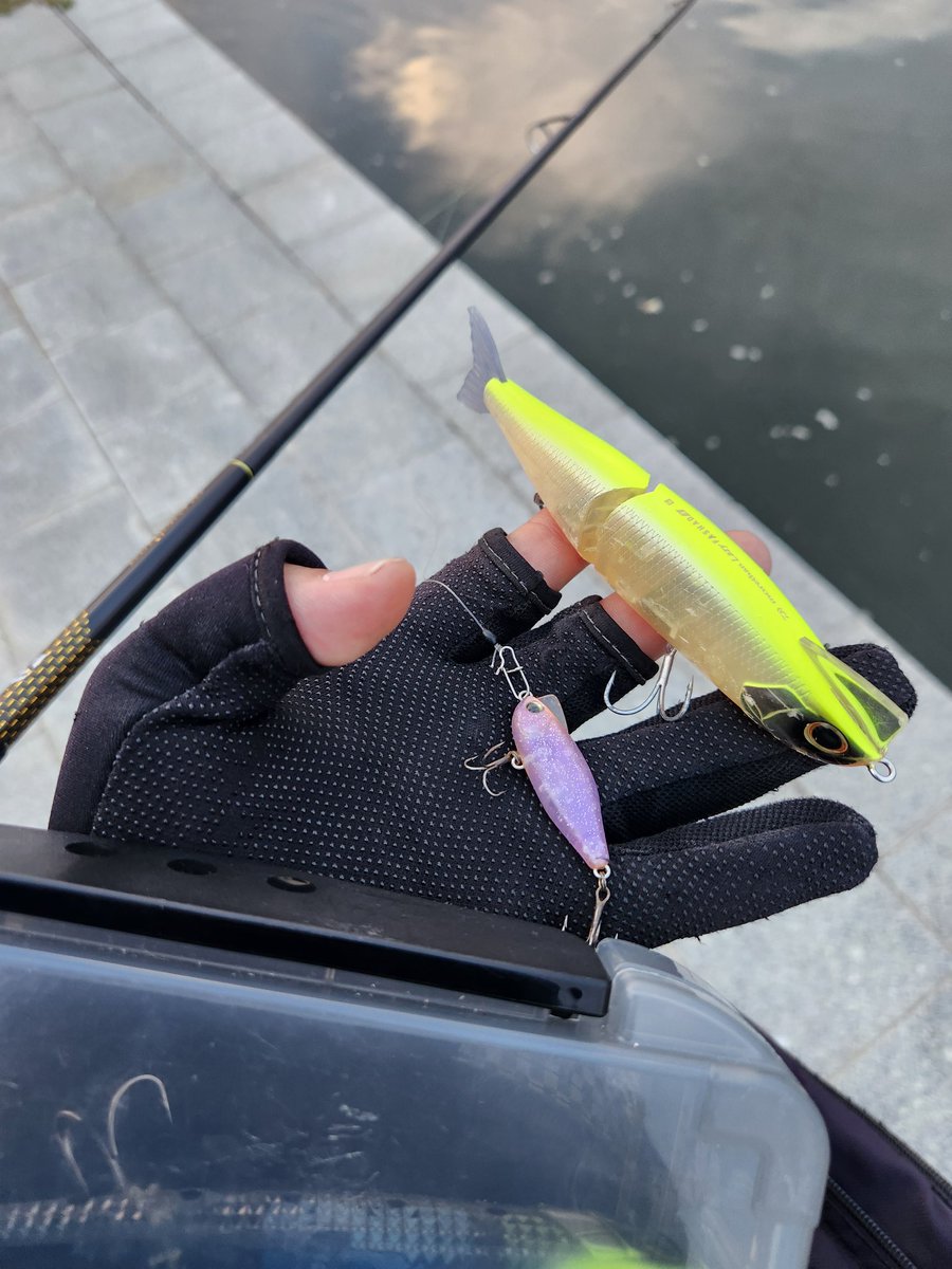 DAIWA SW Fishing Shore (@d_sw_shore) / X