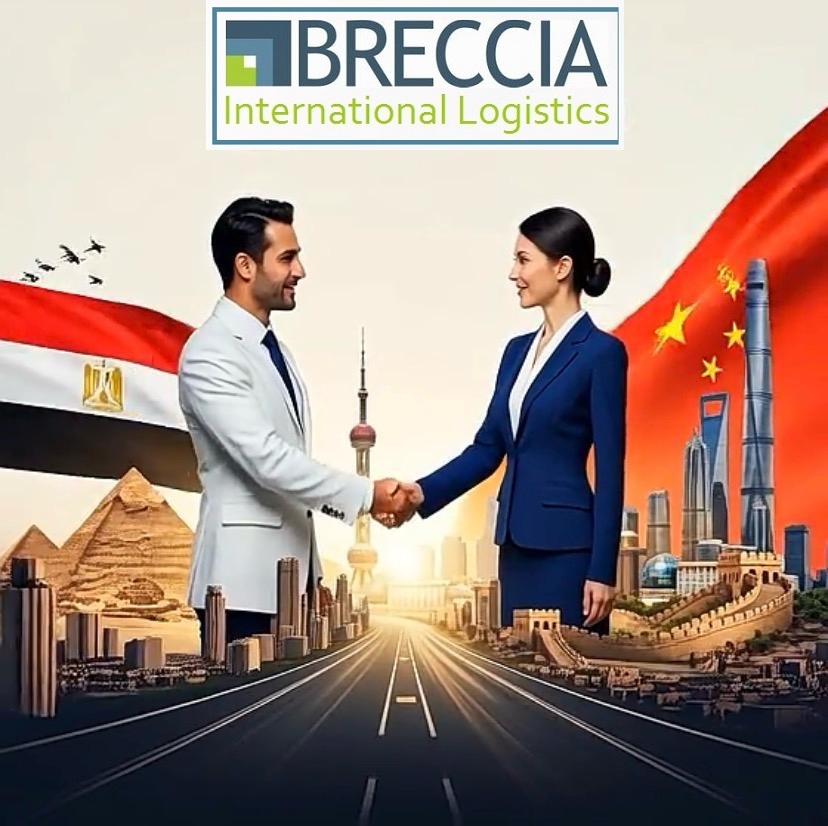 Breccia International Logistics Co. is always your best logistics partner in China.
Hotline: +201272197669
Email: info@breccia-log.com
Web: breccia-log.com