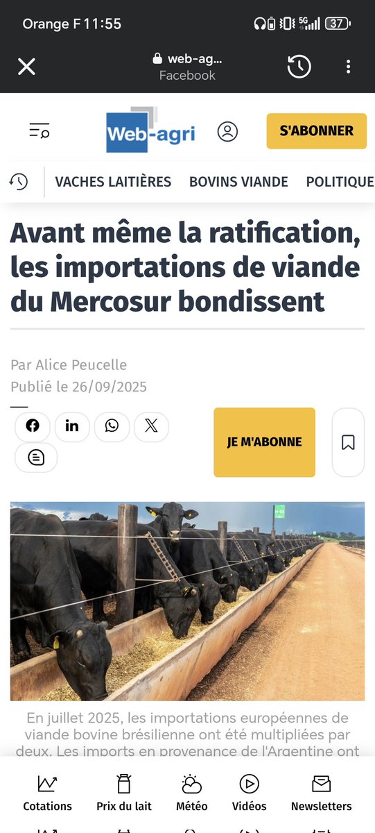 Damien RAMEAU tweet media