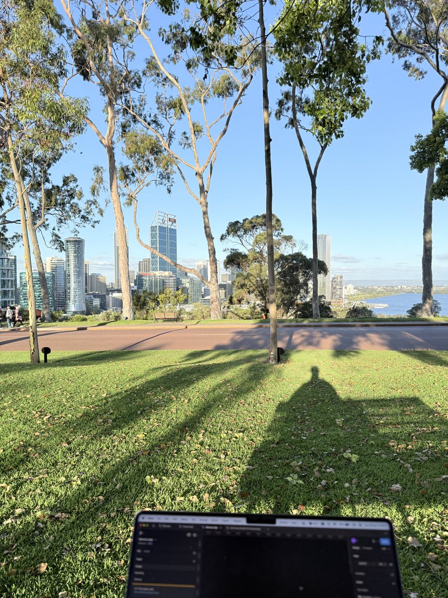 outofchrome's tweet image. day for it