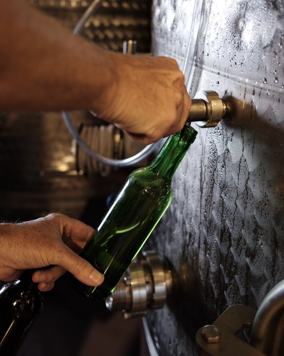📸 Del viñedo a la bodega, ¡ya está aquí la vendimia!​

#LuisAlegre #GrandesVinosdePequeñasFincas #Rioja #DOCaRioja