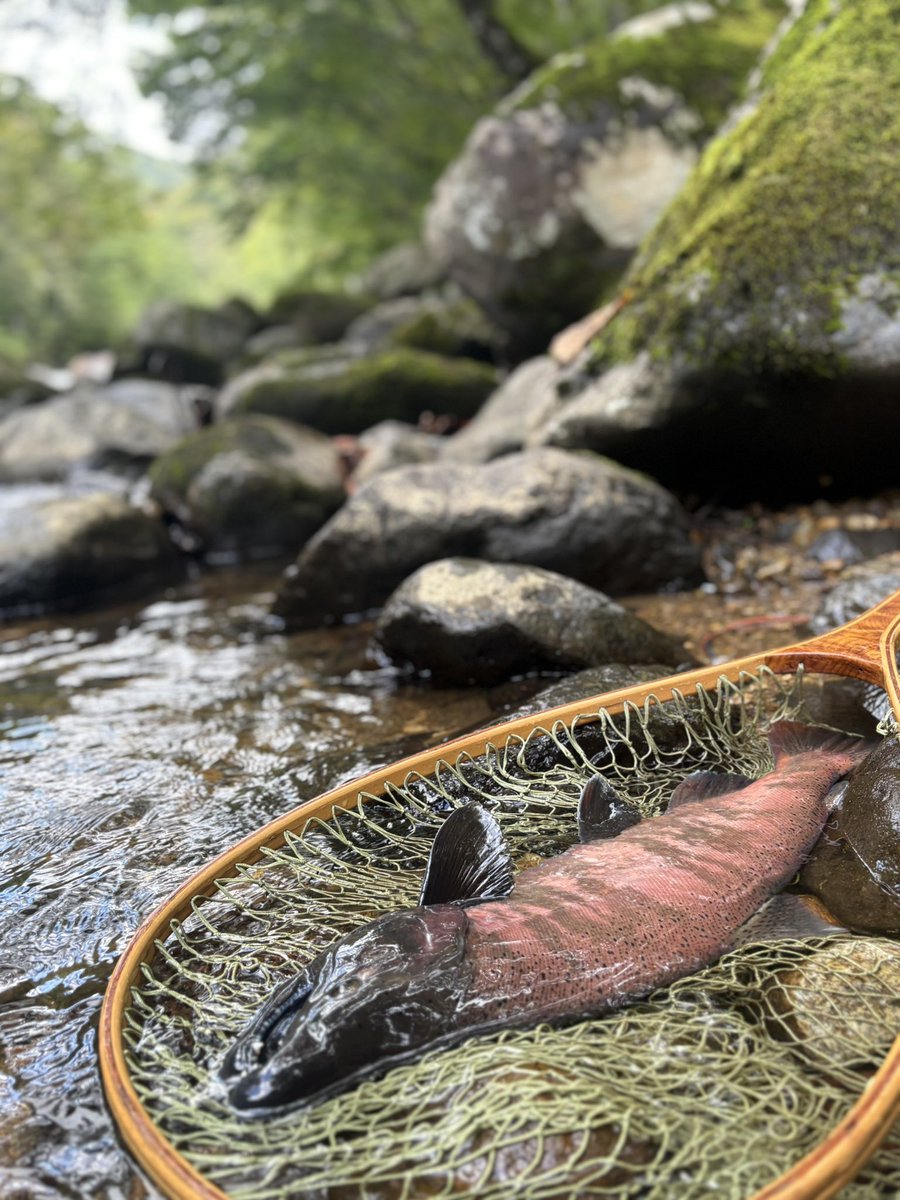 釣りぐるみ　様 海の大秘宝がギョギョっと5,500名に当たる!!魚ギョッと釣りグミ 5th