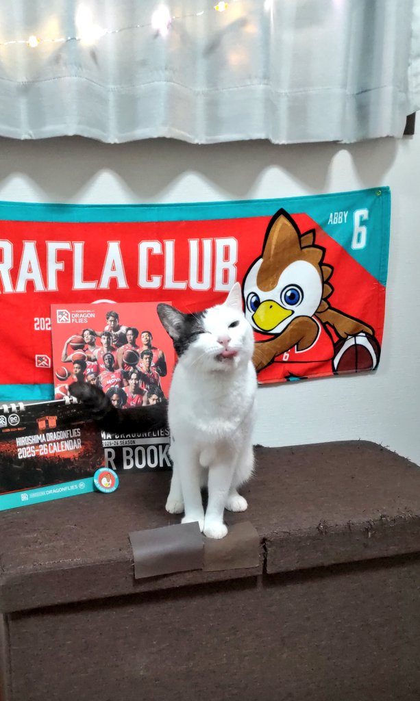 catlife0601's tweet photo. ドラフラクラブ会員特典GET
#ドラゴンフライズ　#Bリーグ　#バスケ https://t.co/sPh92CAMCy