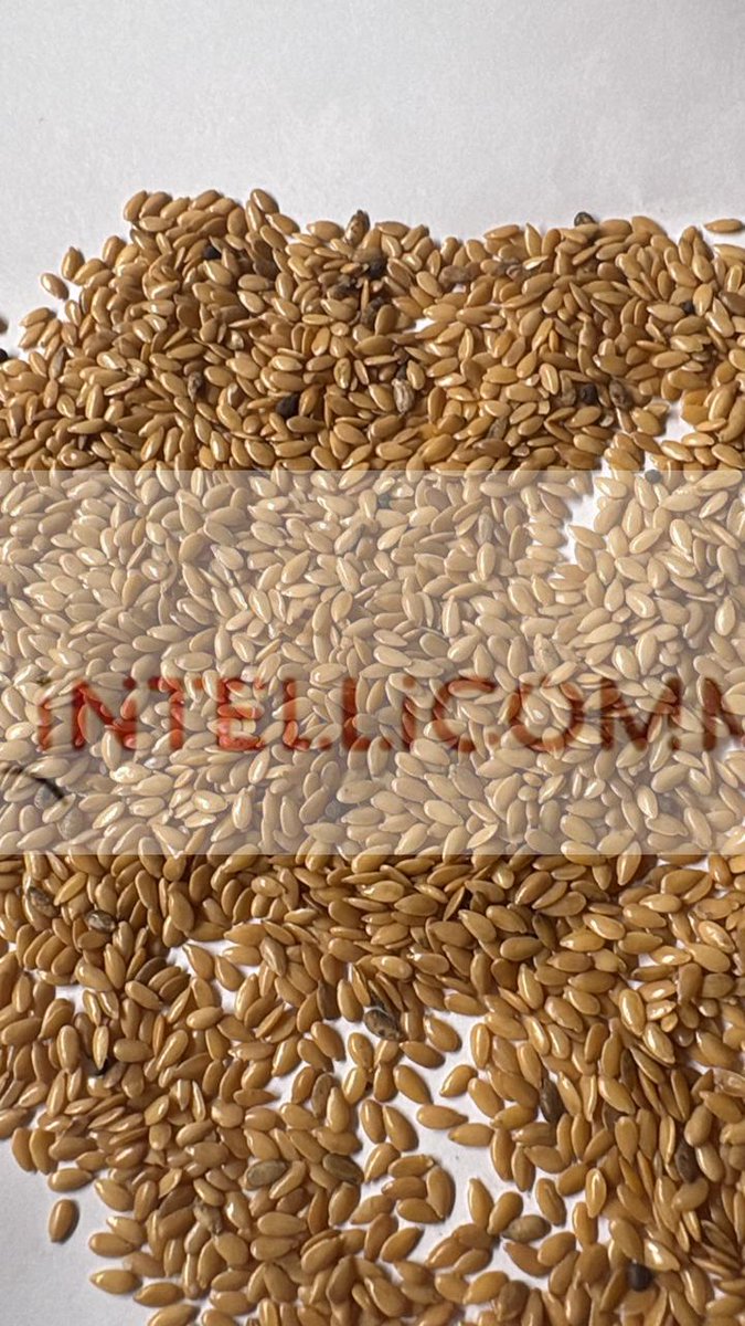 Intellillc12's tweet image. 𝗚𝗼𝗹𝗱𝗲𝗻 𝗳𝗹𝗮𝘅 (𝗰𝗼𝗻𝗳𝗲𝗰𝘁𝗶𝗼𝗻𝗲𝗿𝘆 𝗴𝗿𝗮𝗱𝗲) ✅
#Russia  🇷🇺 🇮🇷 🇨🇳 🥰 #flax 

[in]𝐋𝐢𝐧𝐤𝐞𝐝𝐈𝐧 : linkedin.com/company/llc-in…
ⓕ 𝐅𝐚𝐜𝐞𝐛𝐨𝐨𝐤: facebook.com/Intellicommodi…
𝐈𝐧𝐬𝐭𝐚𝐠𝐫𝐚𝐦: instagram.com/intellicommodi…
𝐖𝐞𝐛𝐬𝐢𝐭𝐞: intellicommodity.com