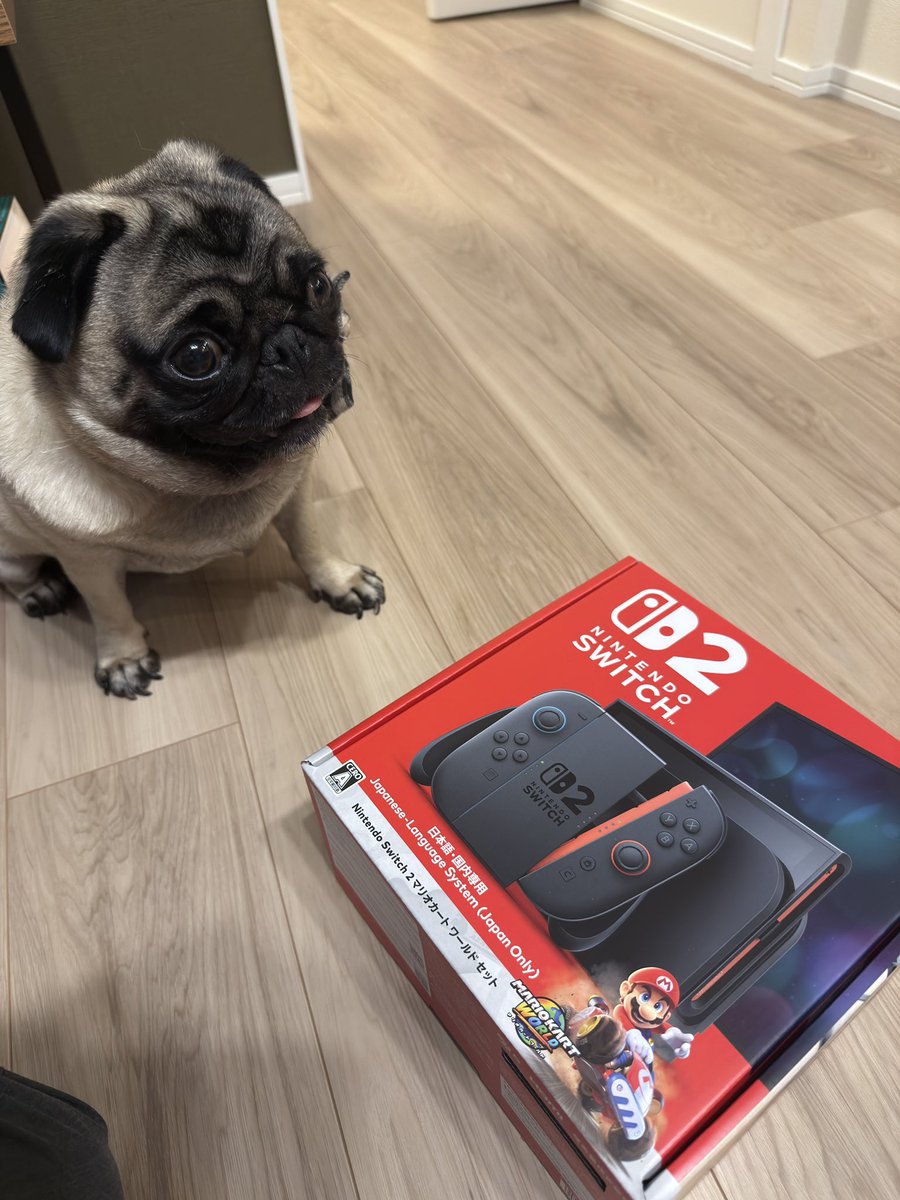 Novskiiiiiiiiii's tweet image. Amazon招待のSwitch2届いたワン🍂
初期設定だけして子どもの誕生日プレゼントになるけど🎁笑

#Switch2