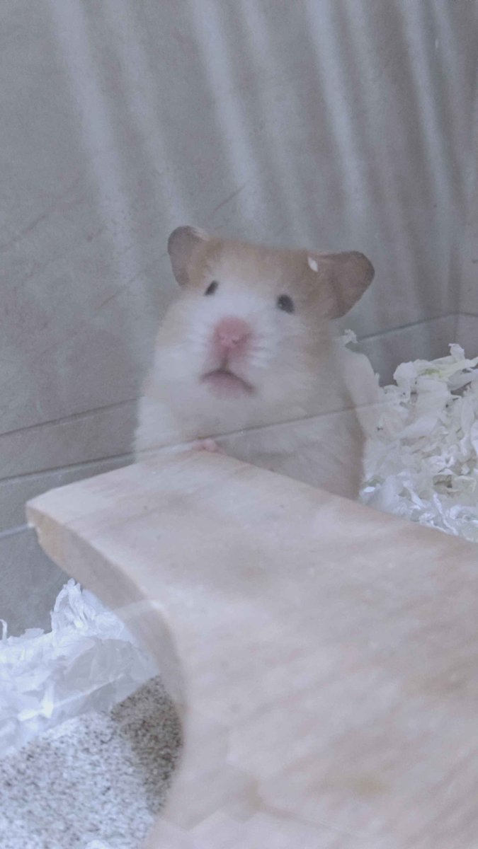 生日倒數五天！！！！！
希望生日當天有好多好多人來看我