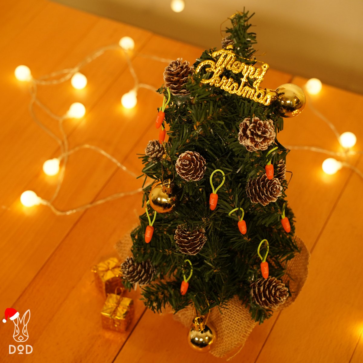 coco_project tweet picture