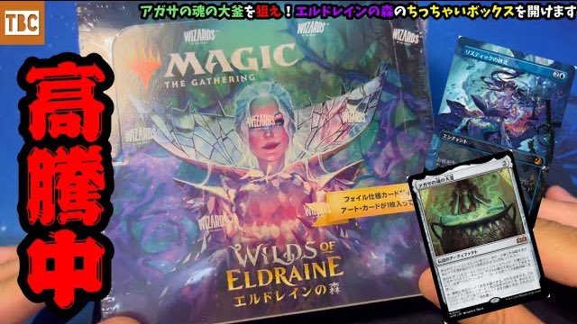 MTG　foil日本語　アガサの魂の大釜　エルドレインの森　プロモパック MTG foil日本語 アガサの魂の大釜 エルドレインの森 プロモ