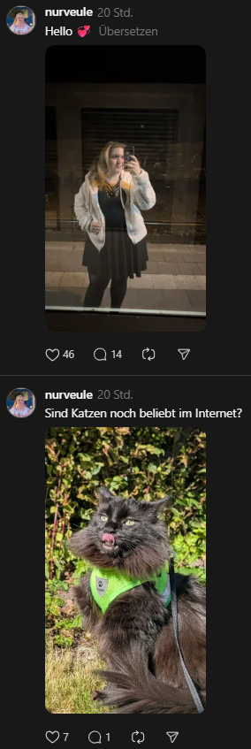 ich glaub das internet mag keine Katzen mehr