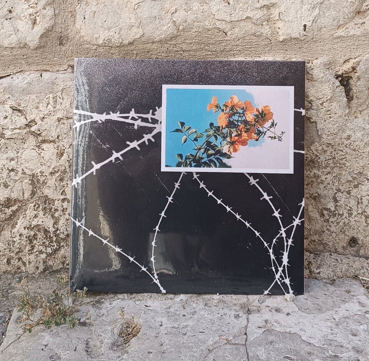 Hace unos pocos meses nos visitaron <a href="/Memocracia_/">Memocracia</a>, y nos dejaron varios ejemplares de su último EP, "Rabia y ternura", un vinilo duro y cañero, pero con un mensaje claro y crítico.✊🏻