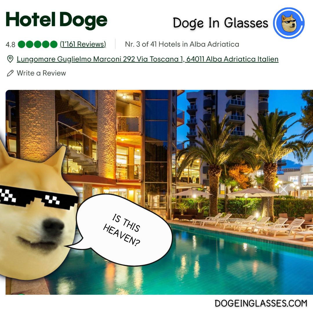 there is a hotel for $DIG holders?

no doge in vacation withouth ze glasses.

ya $DIG