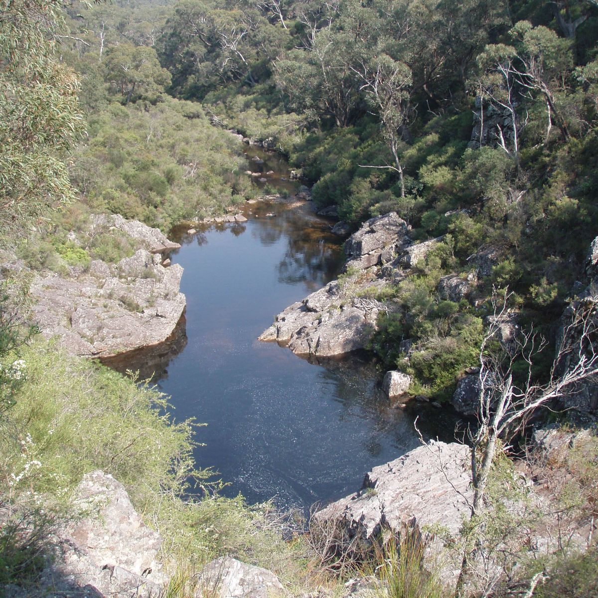 BushwalkingNSW's tweet photo. September updates: Our AGM wrap - https://t.co/TerMOFKk15 https://t.co/e1LvYBGik2