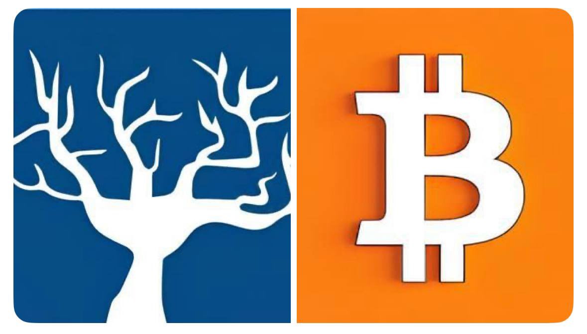 JUST IN: 🇫🇷
شركة Melanion Capital تطلق أول نموذج “خزينة بيتكوين” خاصة في أوروبا!

💰 تخطط لجمع €50M (~$54M) مخصصة بالكامل لشراء #Bitcoin 🔥
خطوة تعكس تحوّل المؤسسات من الذهب والاحتياطيات التقليدية إلى الخزائن الرقمية.

#BTC #Crypto #Bitcoin #France #InstitutionalAdoption #Web3