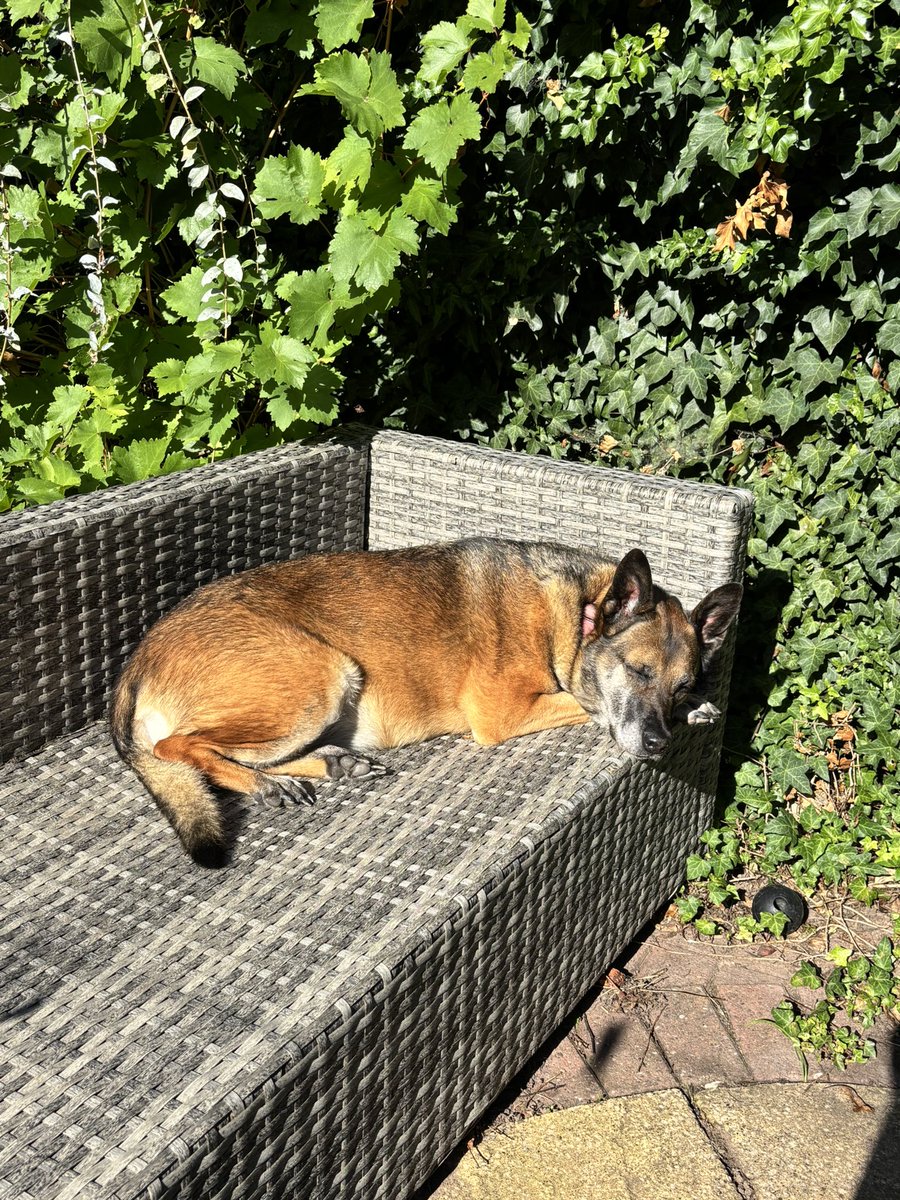 Making the most of what’s left of the sunshine ☀️