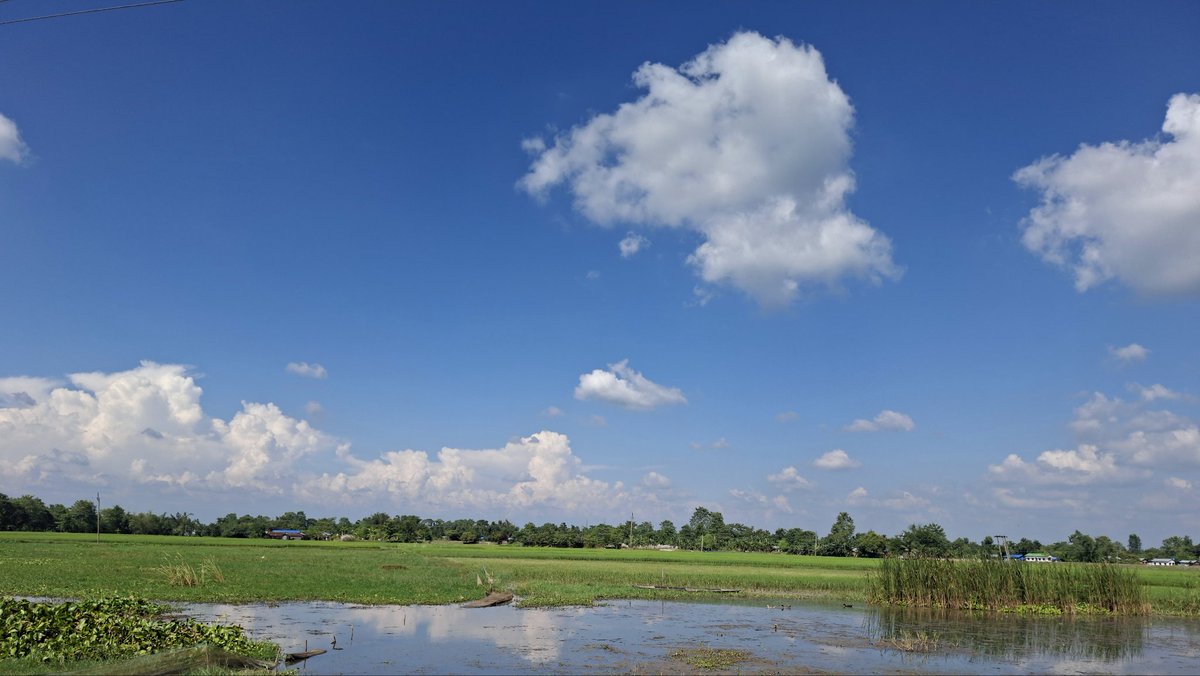 adimulhoque09's tweet image. &quot;September in Assam feels confused 🌤️🔥 — Autumn on the calendar, but Summer in the air! When will the cool breeze finally take charge? 🍂☀️&quot; #AssamWeather #SeptemberVibes #AutumnOrSummer #HotAutumn #AssamDiaries #WeatherMood #NatureInAssam #SeasonSwitch
