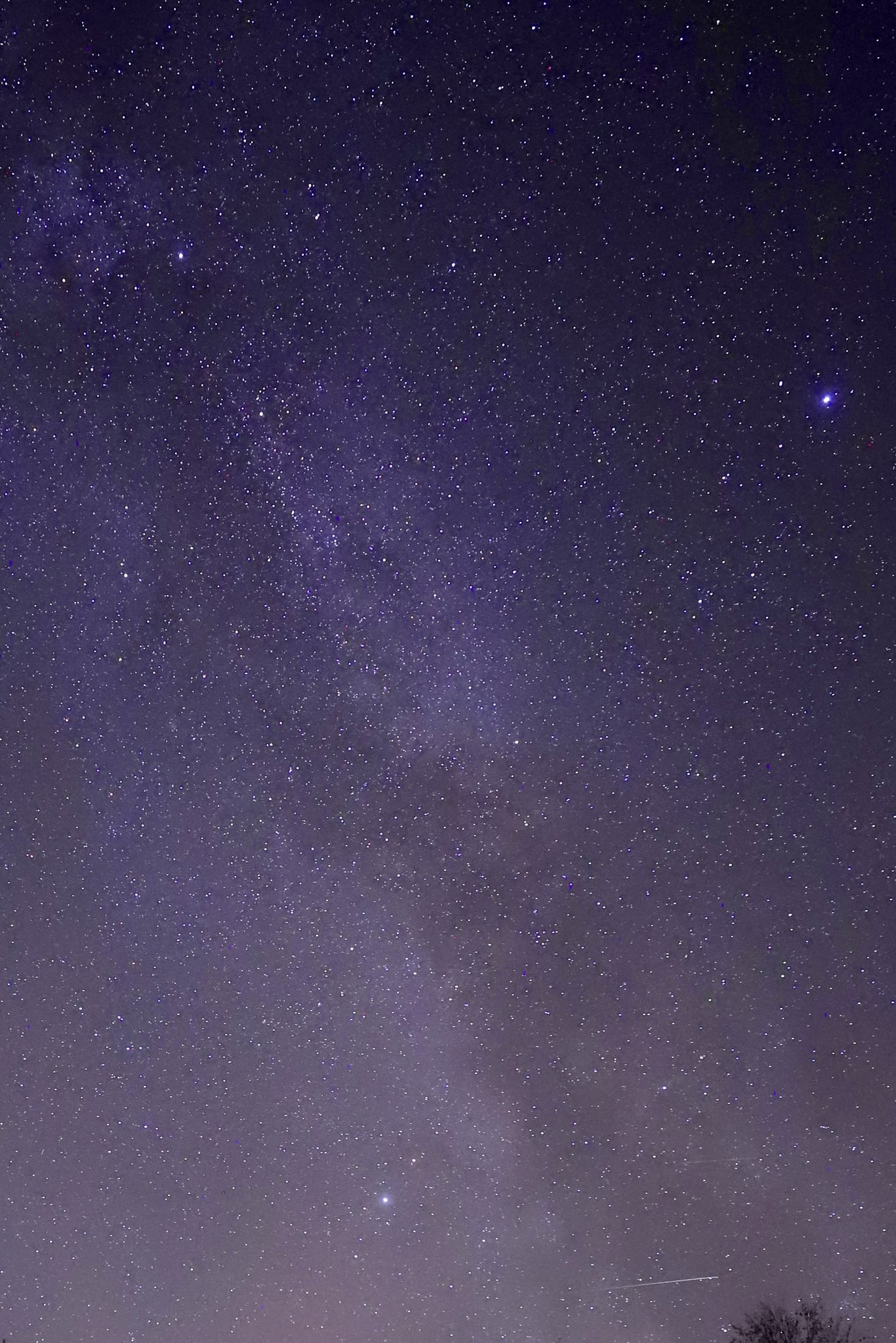 Kyanです❣️ Amazon | KN企画 ライブディオZX ライブDIOZX LIVEDIO スポーツ