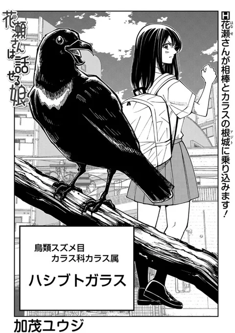 花瀬さんは話せるこ 22話公開されました!
カラスのアジトにのりこんだルコ
カラスにも色々な思いが
よろしくお願いします🐦‍⬛

花瀬さんは話せる娘|加茂ユウジ
#マンガcomipo 
 https://t.co/hVW0Llx5h9 