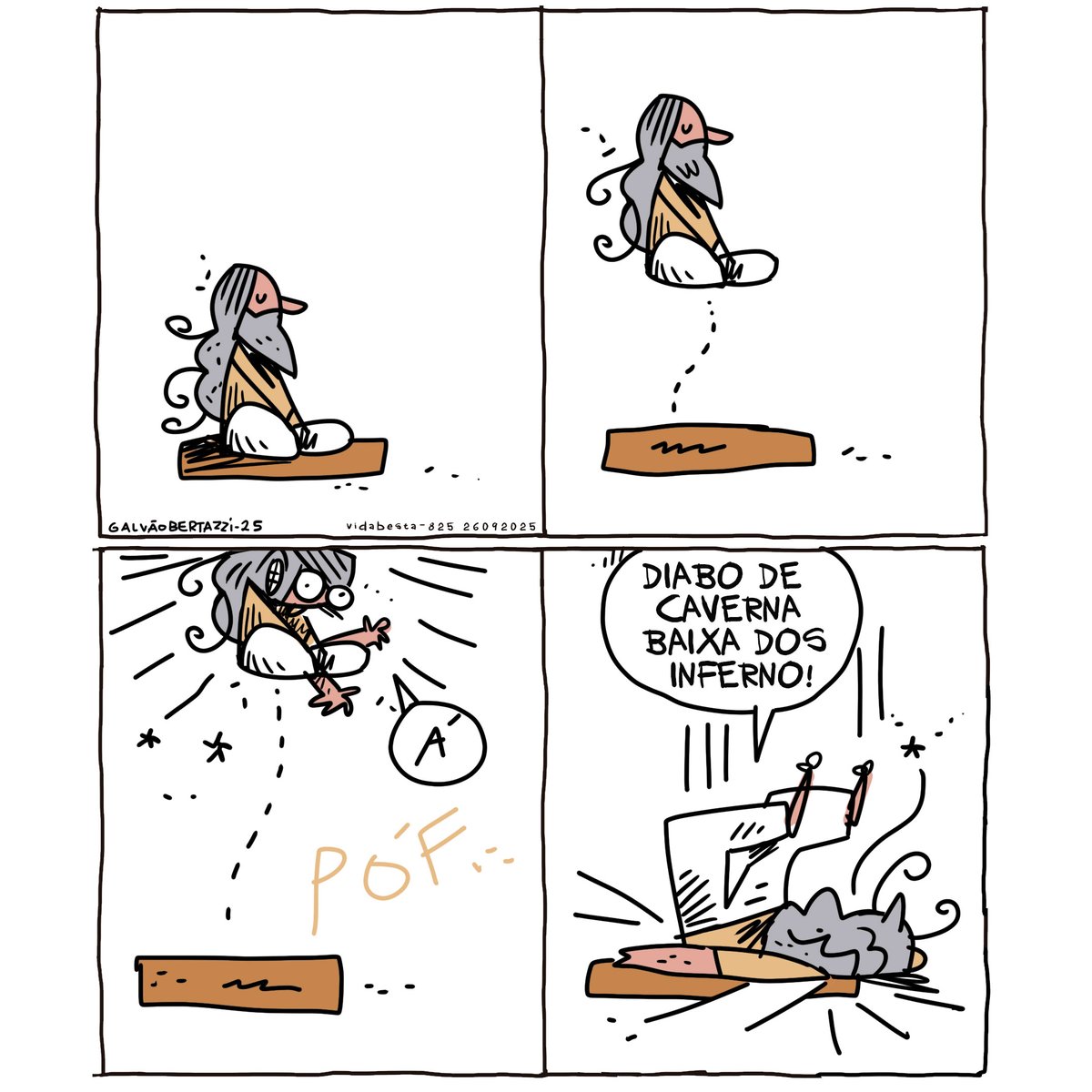 Tira contemplativa publicada na FOlha de São Paulo