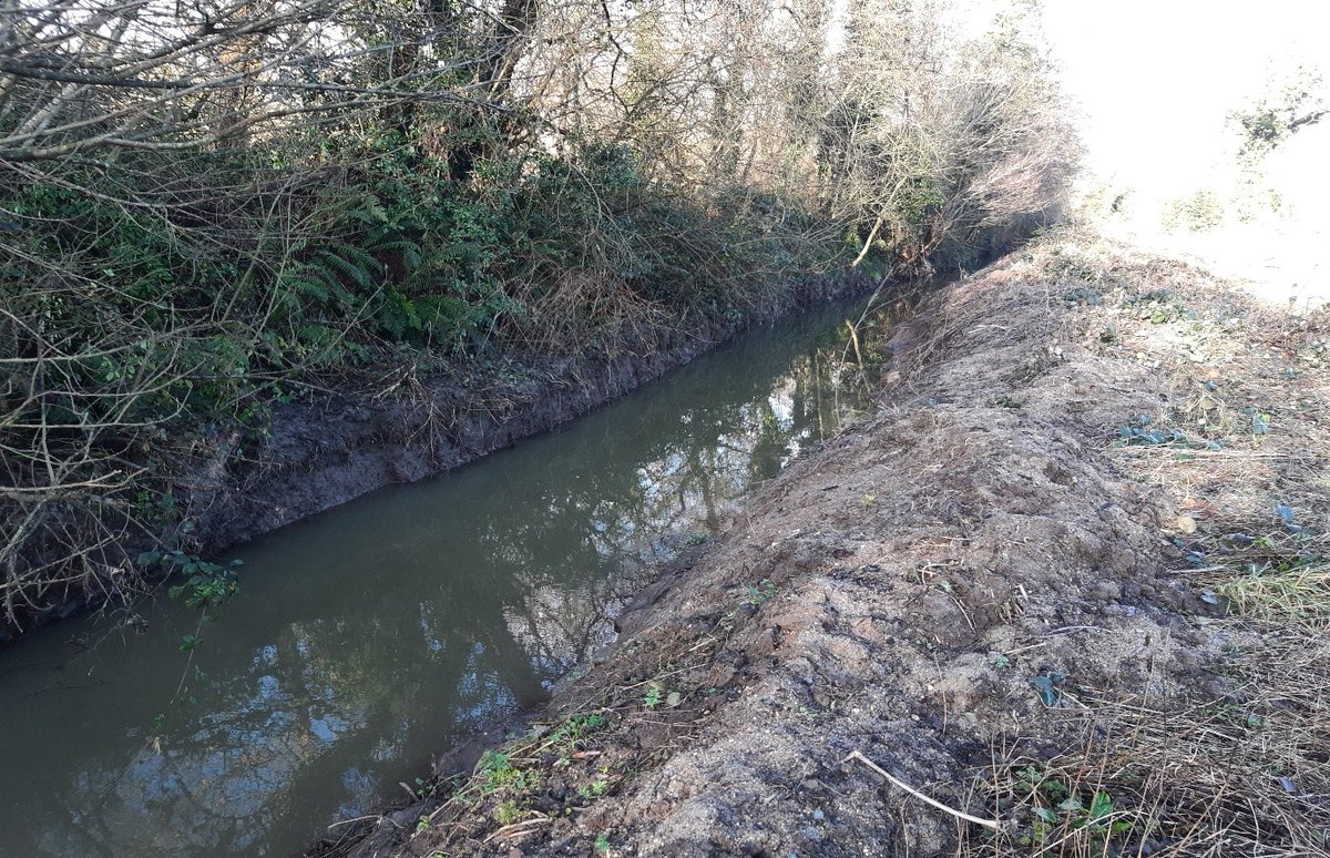 InlandFisherIE's tweet image. 🆕 IFI welcomes conviction against #Kilkenny landowner for damaging a tributary of River Barrow.

📜 Total fine/costs of €2,400 levied.

🔗 Read more: tinyurl.com/2z7cu3w9