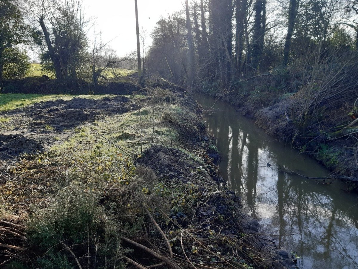 InlandFisherIE's tweet image. 🆕 IFI welcomes conviction against #Kilkenny landowner for damaging a tributary of River Barrow.

📜 Total fine/costs of €2,400 levied.

🔗 Read more: tinyurl.com/2z7cu3w9