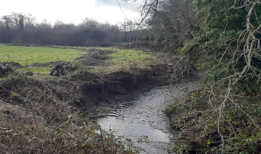 InlandFisherIE's tweet image. 🆕 IFI welcomes conviction against #Kilkenny landowner for damaging a tributary of River Barrow.

📜 Total fine/costs of €2,400 levied.

🔗 Read more: tinyurl.com/2z7cu3w9