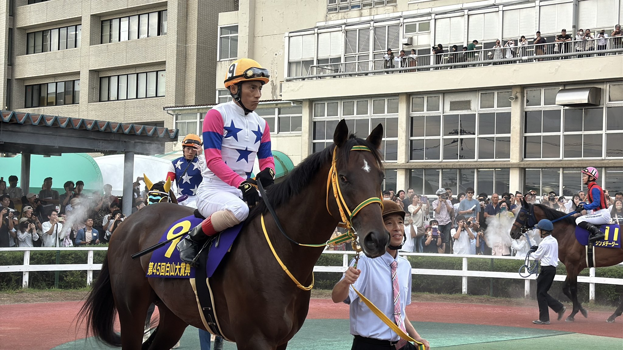 鈴木ショータ(旅するホースライター) (@SS_Meiji) / X