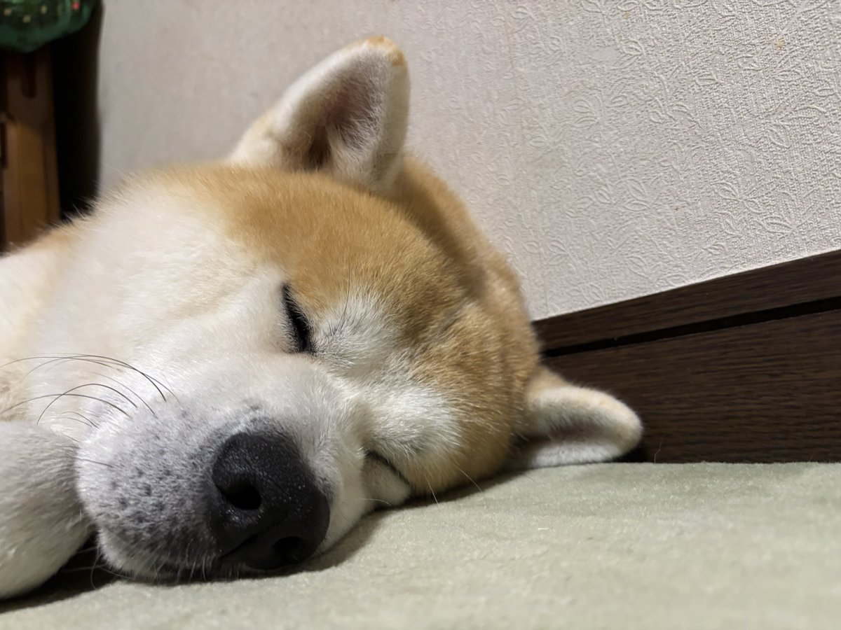 たいぬむなうし 金太郎まる マスコット(むかしばなし) うさまる – LINE FRIENDS