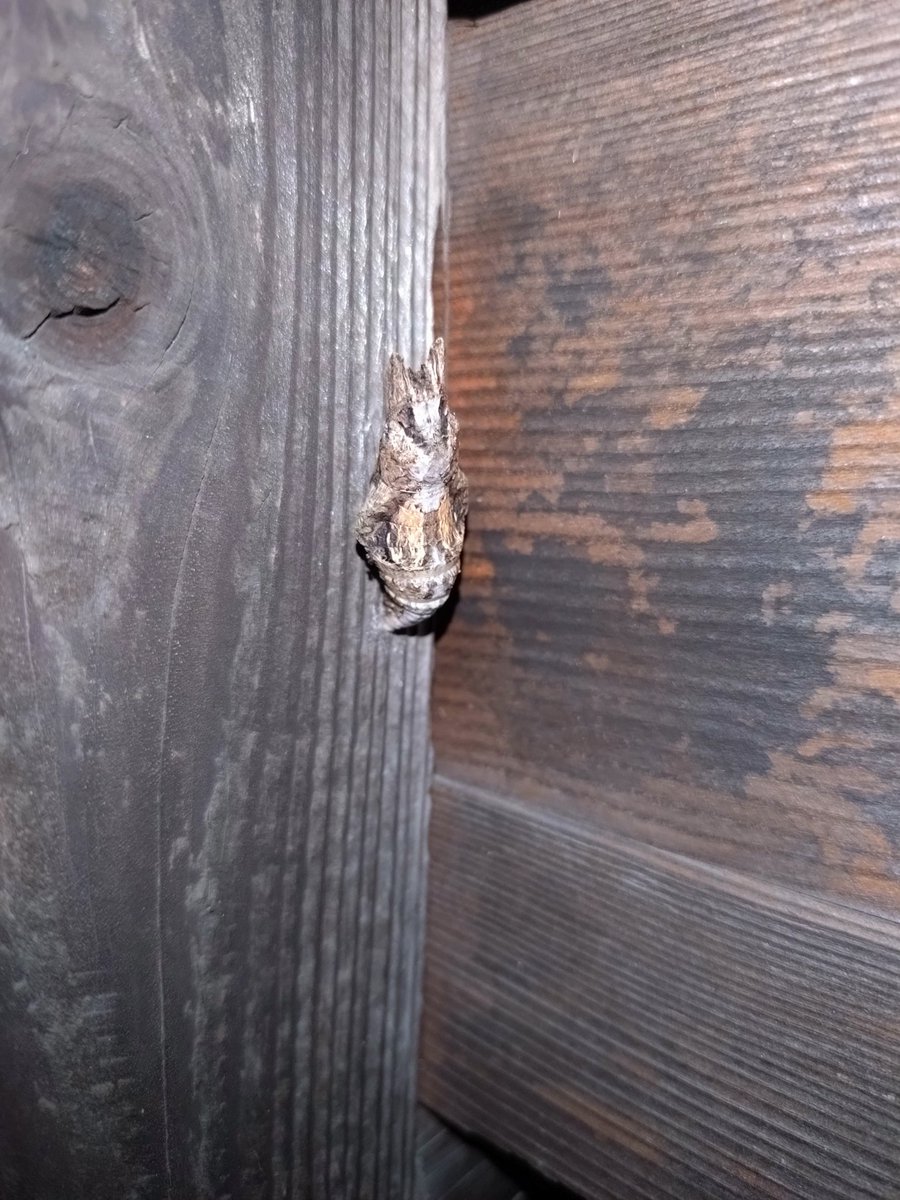 本日の〜〜！…暗い🫥