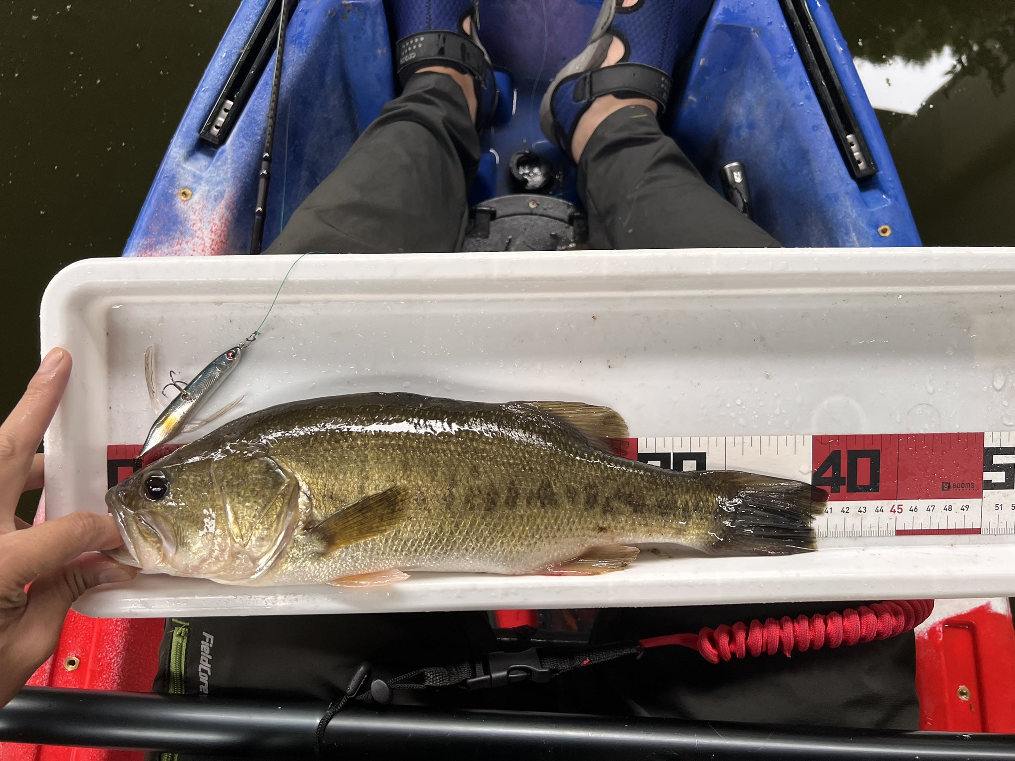 ゼオン (@ZIONfishing) / X