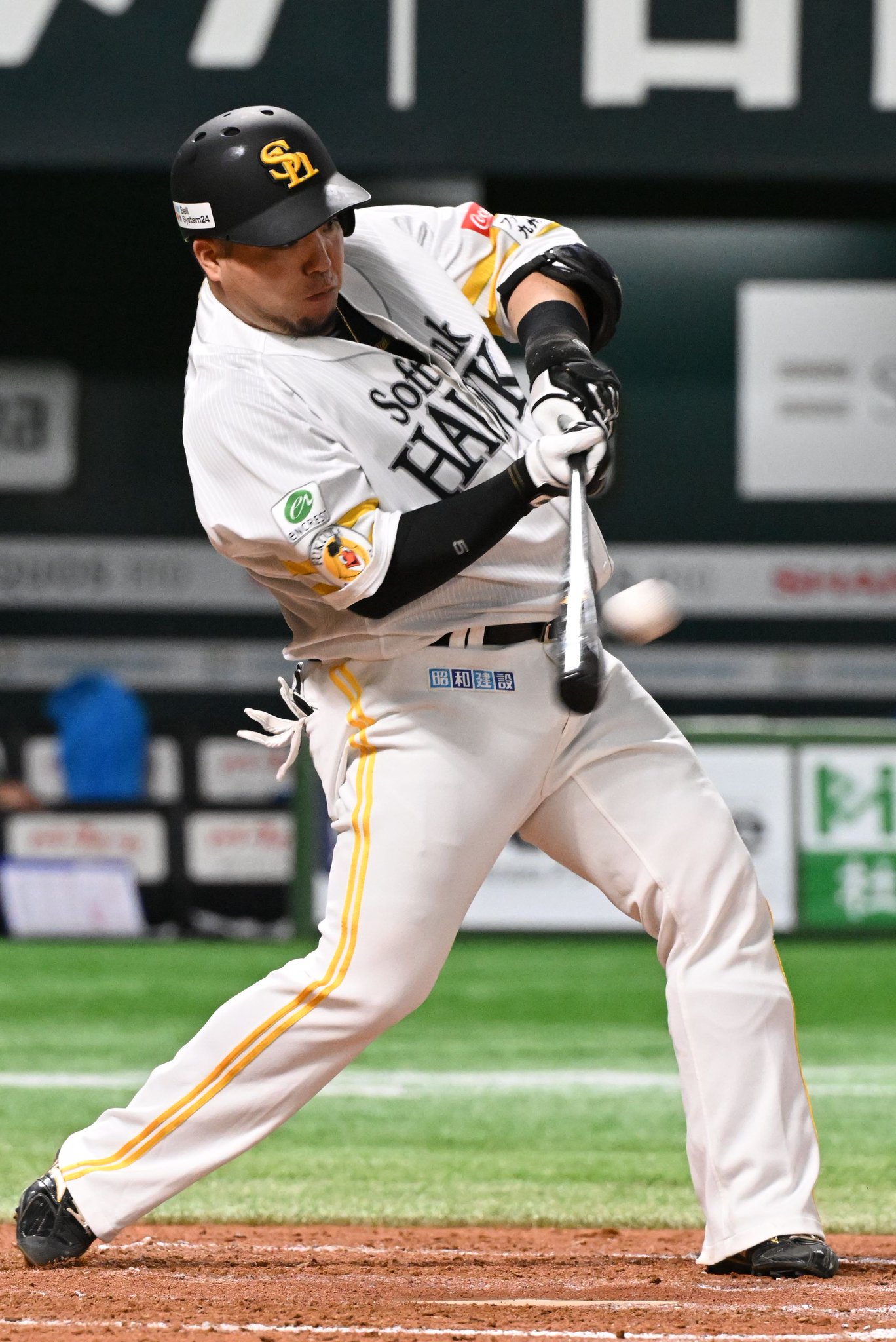 ソフトバンクホークス山川穂高バット 最多本塁打者賞 #最多打点者賞 #山川穂高 #HOMERUNKING
