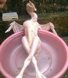 Ada yang mau mandi bareng?