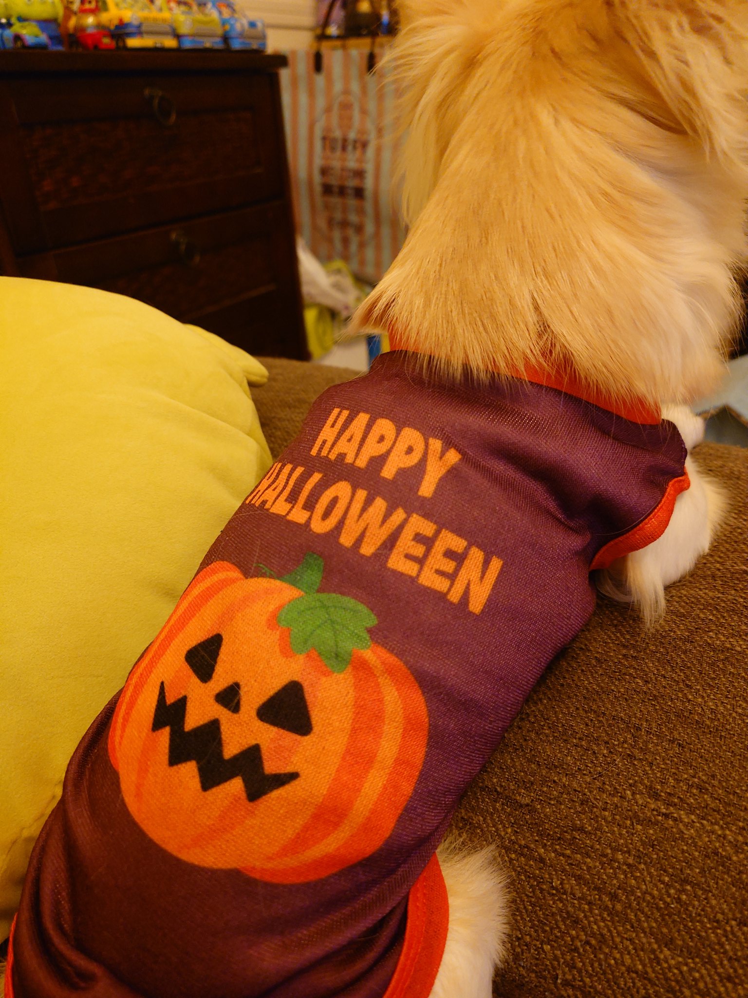 Rody ハロウィン仕様 もか on X: 