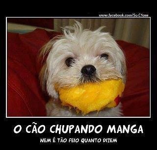 Bom dia meus patinhos