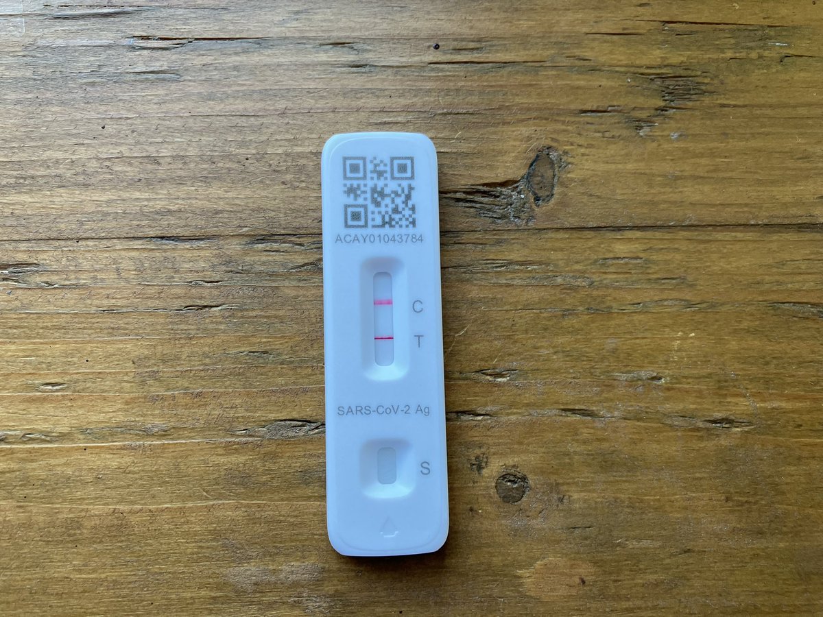 Covid-19 has reared its ugly head again in the Steele household. I thought I’d simply caught a cold. If you too are feeling a bit unwell, please do a test.