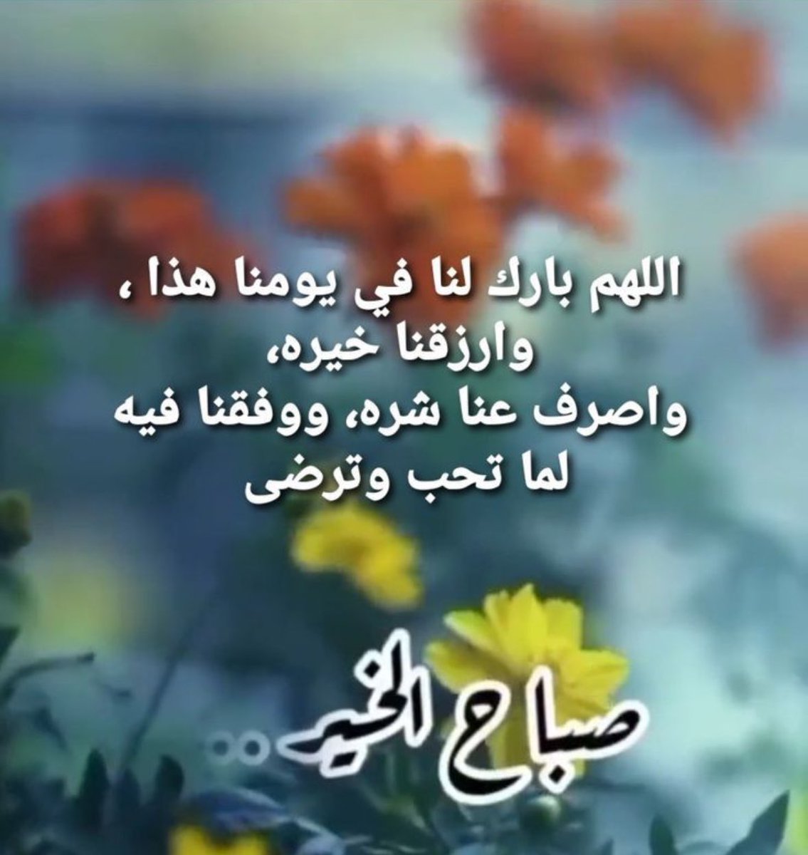 Ahmad Asfour (@ahmad_m_asfour) on Twitter photo 