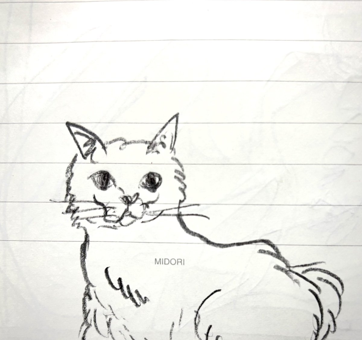 森大地/daichi mori. (@mementomorry) on Twitter photo 