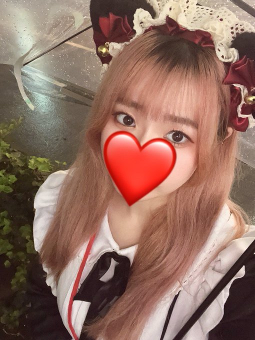 池猫 ~池袋の猫たち~のツイート