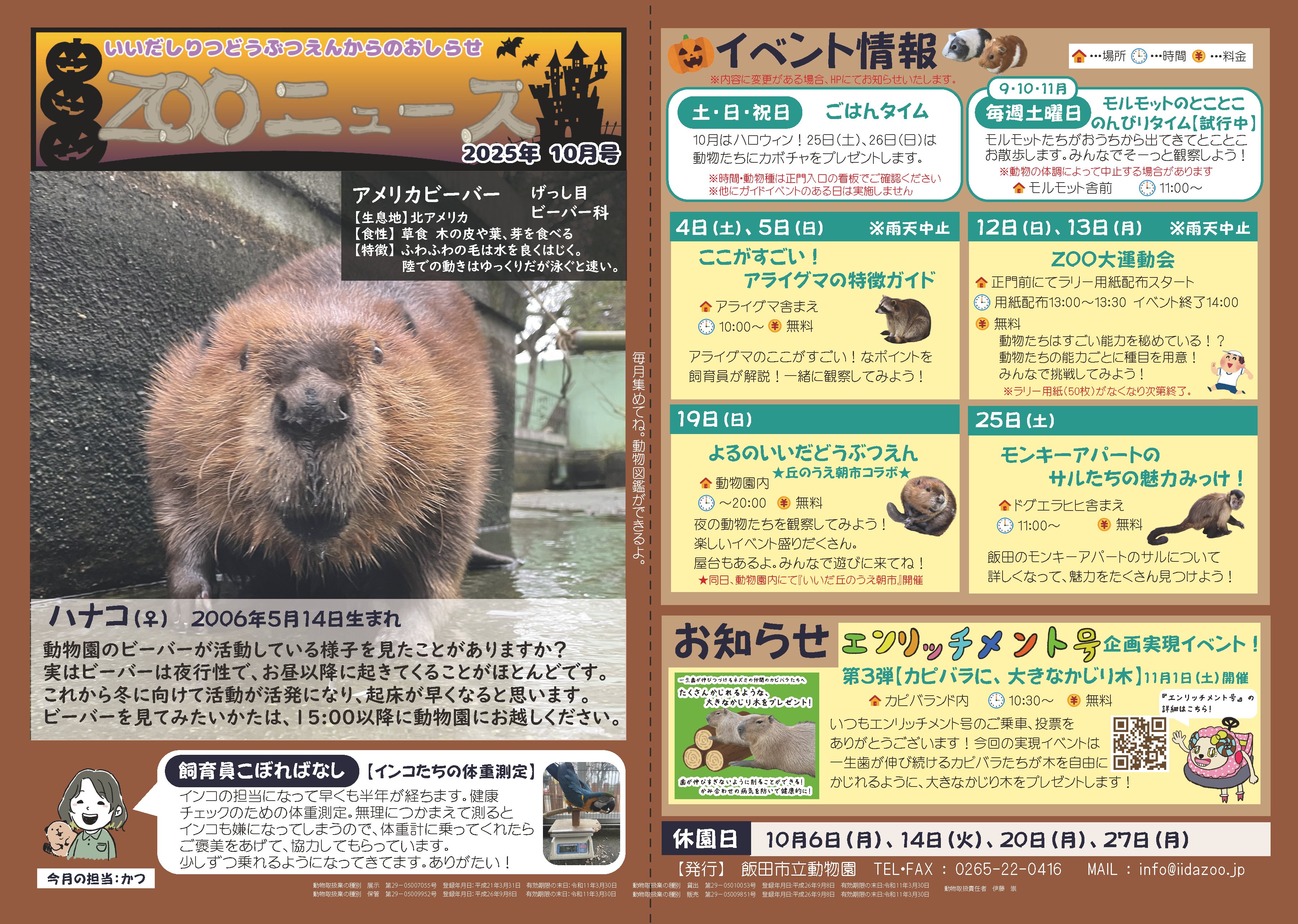アメリカンビーバー ぬいぐるみ 【まーゆべいびさまリクエスト】 アメリカンビーバー ぬいぐるみ 【まーゆべいびさまリクエスト