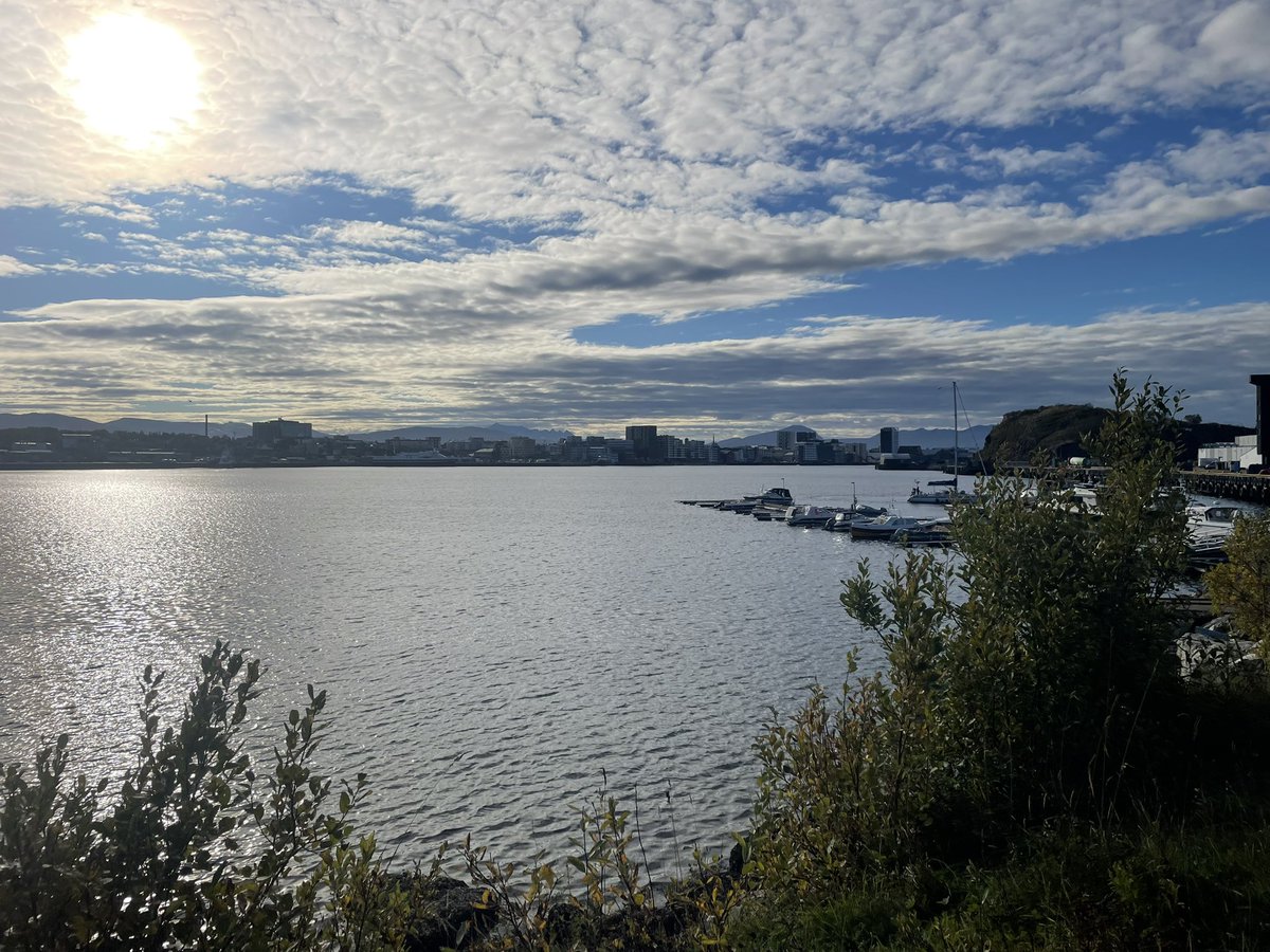 TheTottenhamWay's tweet image. Back to Bodo! #thfc

@TomAllnutt_ &amp;amp; @TomBarclay_ are both in the Arctic Circle for tonight’s game.

What a place 🇳🇴