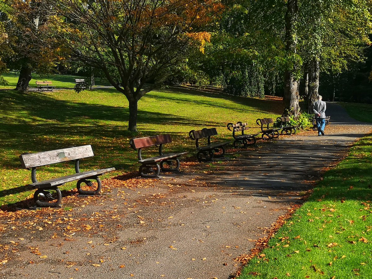 MyFaveBench's tweet photo. Autumnal Valley Gardens in Harrogate. Such vibrant colours 🍂 #valleygardens #BenchFans #Pewwithaview #Yorkshire #BenchLove #Harrogate https://t.co/smMnZ9e5de