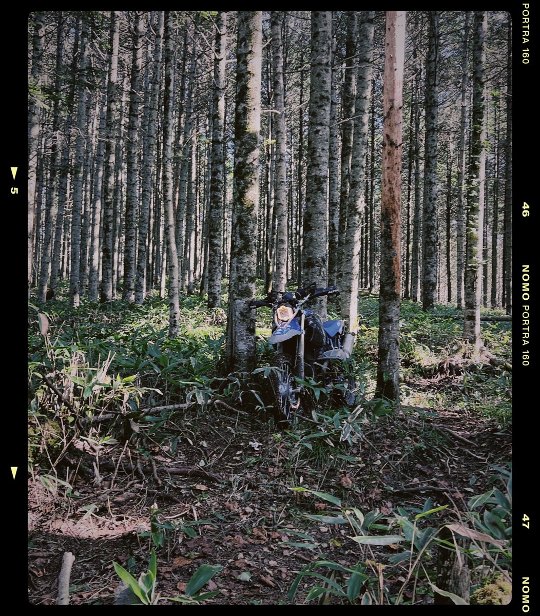 KSOxxx's tweet image. HTDEルートも
#HP2