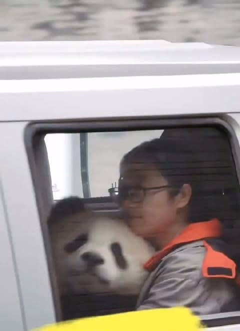 Kate (@kate68_102) on Twitter photo 