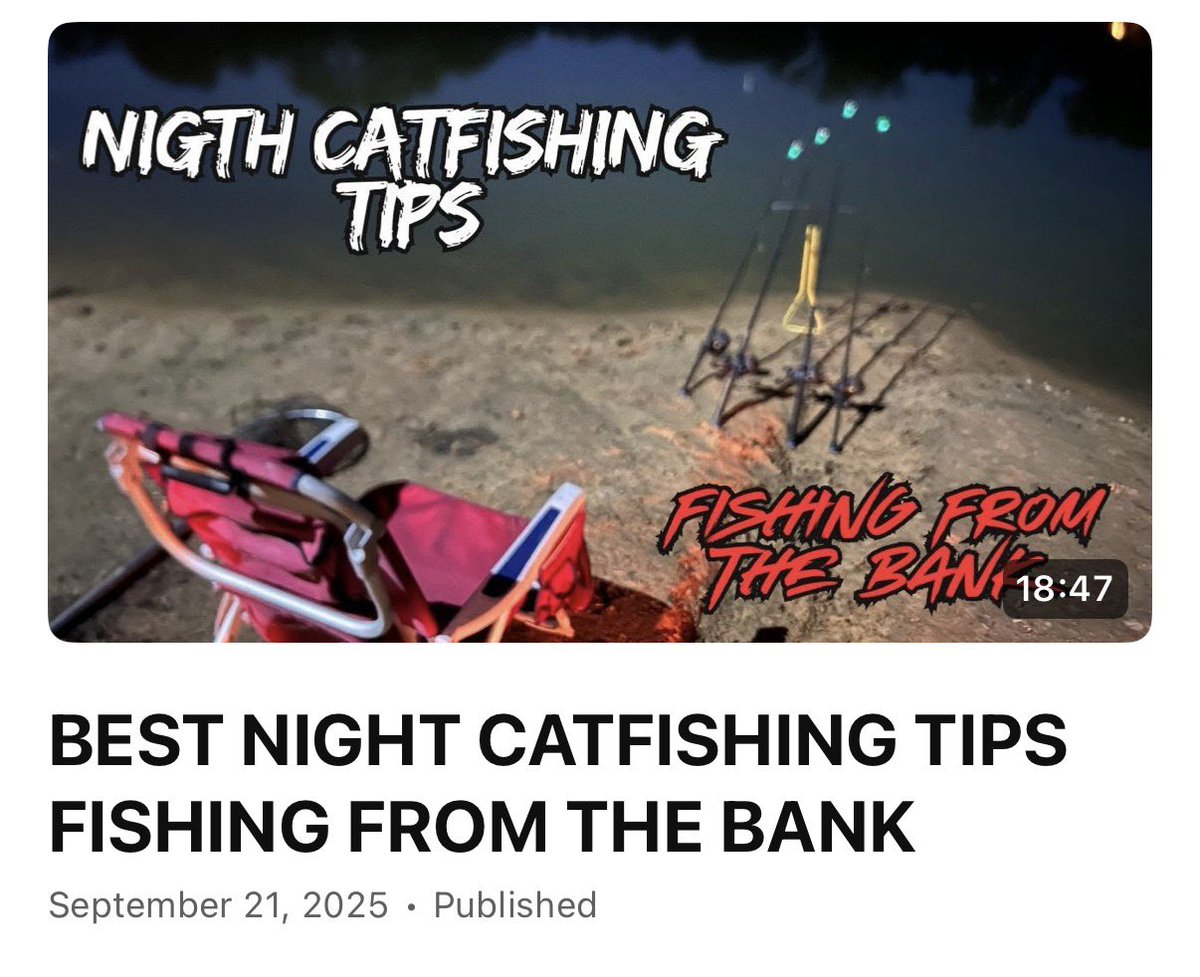 BEST NIGHT CATFISHING TIPS FISHING FROM THE BANK
youtu.be/mqdBwpShybo
